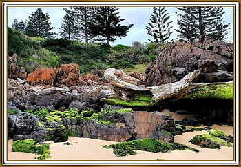 TUROSS HEAD, NSW, AUSTRALIA, NATURE, SCENE, , BEACH HD wallpaper