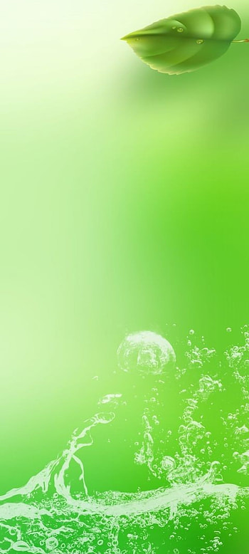 LoveLife, green, terrestrial_plant, liquid HD phone wallpaper