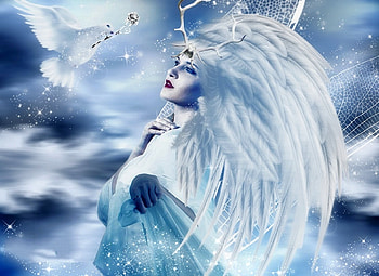 ~New Year Angel~, winter, wings, dove, weird things people wear, flying, digital art, angels, woman, creative pre-made, love four seasons, fantasy, manipulation HD wallpaper