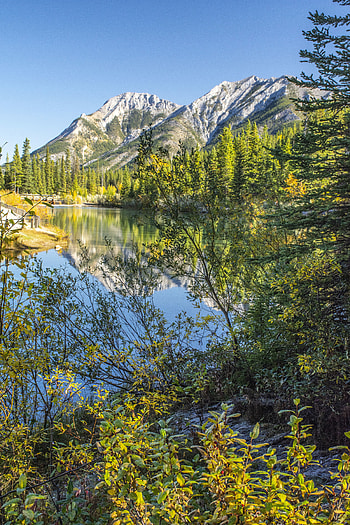 Nature, Trees, Mountains, Rocks, Lake, Branches HD phone wallpaper