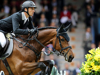 Steve Guerdat, Equestrian Sports HD wallpaper