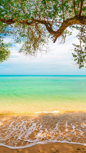 Turquoise waters, Sandy paradise, Coastal vistas, Nature's tranquility HD phone wallpaper