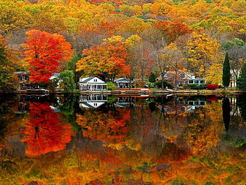 reflection, trees, colorful, lake HD wallpaper