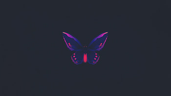 Butterfly, minimal HD wallpaper