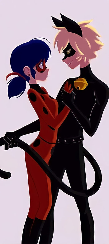 Laydybug & Cat Noir, Miraculous, Cat Noir, Adrien, Ladybug, Marinette HD phone wallpaper