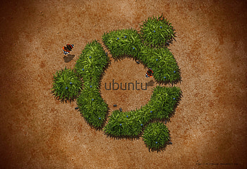 Ubuntu Logo 1, ubuntu, linux, logo, computer HD wallpaper
