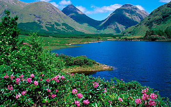 Nature, Flowers, Grass, Mountains, Summer, Lake, Greens, Slopes HD wallpaper
