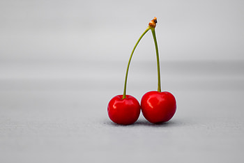 Food, Cherry, Fruit, White Background HD wallpaper
