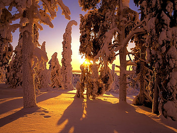 Landscape, Winter, Snow HD wallpaper