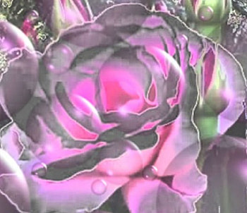 Pastel Chrome Rose, rose, chrome, flowers, fantasy HD wallpaper