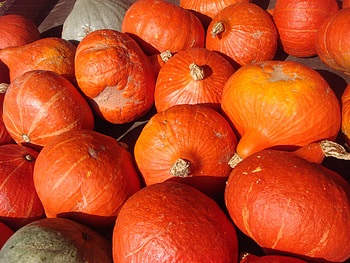 Food, Vegetables, Pumpkin, Lot HD wallpaper