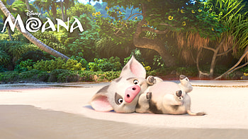 Pua, Moana HD wallpaper