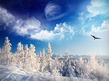 Blue Sky Winter, winter, blue sky, snow covered trees, clouds, eagle soaring HD wallpaper