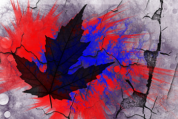 Abstract, Paint, Sheet, Leaf, Stains, Spots, Cracks, Crack, Maple HD wallpaper