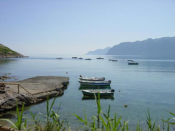 SPRING MORNING, blue, sea, leaves, morning, boats, spring, water, calm HD wallpaper