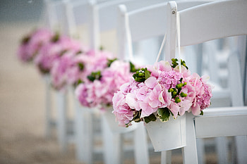 Delicate feelings, pink, delicate, fashion, wedding, entertainment, love, flowers, forever HD wallpaper