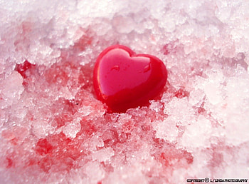 Wounded Heart, abstract, snow, red, heart, wounded HD wallpaper
