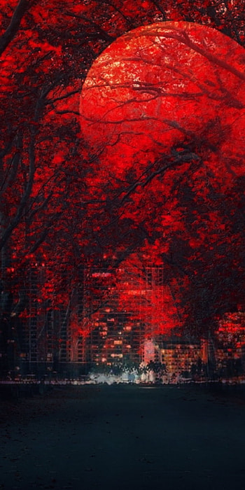 red, Color, vibes HD phone wallpaper
