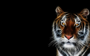 Untamed tiger energy, Striking moments in nature HD wallpaper