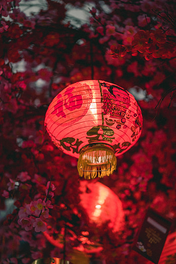 Miscellanea, Miscellaneous, Holiday, Lantern, Lamp, Chinese HD phone wallpaper