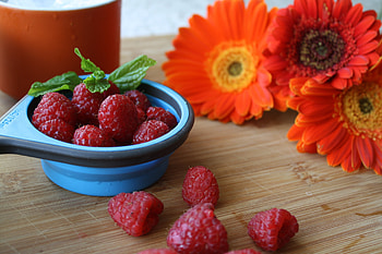 Flowers, Food, Raspberry, Berries, Ripe HD wallpaper