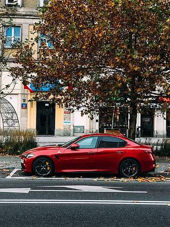 A sleek red sports car parked on a city street lined with autumn trees. HD phone wallpaper