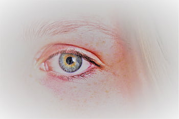 Detailed close-up of an eye showcasing intricate iris patterns and eyelashes. HD wallpaper