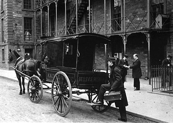 emergency vehicle, wagon, horse, medical, man HD wallpaper
