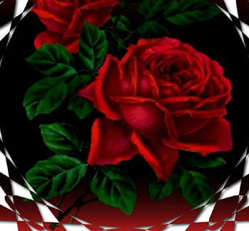 PAPER CUT ROSE, ART, ROSES, CREATION, ABSTRACT HD wallpaper