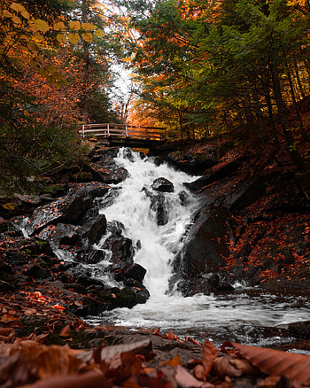 Nature, Autumn, Waterfall, Bridge HD phone wallpaper