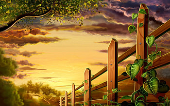 Wooden fence, tree, plant, wood, abstract, field, fence, leaf, sky, sunset HD wallpaper