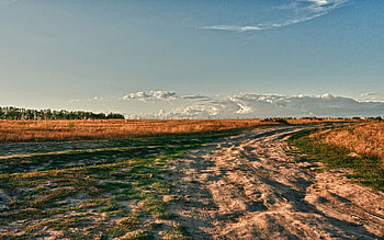 Nature, Grass, Sky, Road, Field HD wallpaper