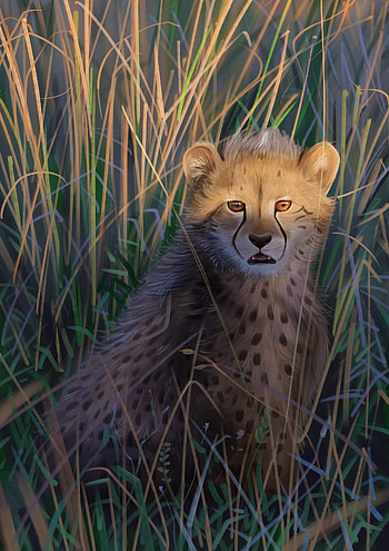 Art, Cheetah, Predator, Big Cat, Wildlife HD phone wallpaper
