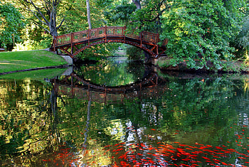 Johanna Park-Germany, bridge, fish, lake, park HD wallpaper