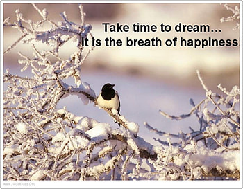 Take the Time…, landscape, nature HD wallpaper