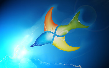 Brands, Windows, Background, Microsoft HD wallpaper