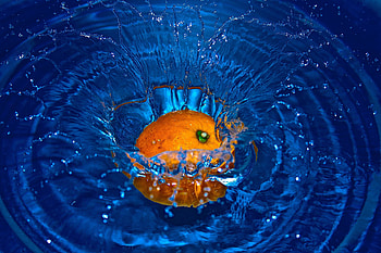 Orange fruit, splashes, water HD wallpaper