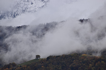 Landscape, Nature, Trees, Mountains, Clouds, Fog HD wallpaper