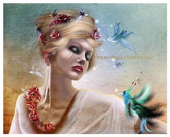 Floral Girl, lady, birds, fantasy, stylish HD wallpaper