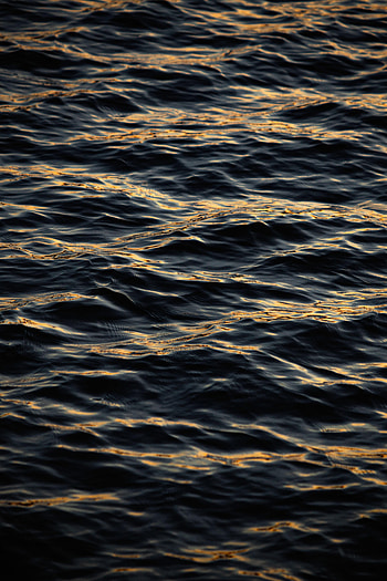 Nature, Water, Waves, Ripples, Ripple HD phone wallpaper