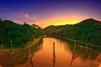 reflections of beauty, river, graphy, landscape, trees, nature, sky, water, sun, sunset HD wallpaper