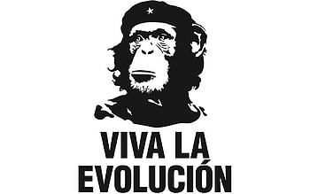 Che Troll [Paullus23] | Che Guevara | Pinterest | Che guevara, deviantART and Social community HD wallpaper