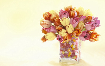 Flowers, Stones, Tulips, Vase, Decorative HD wallpaper
