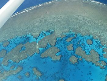 Great Barrier Reef, Whitsunday Island HD wallpaper