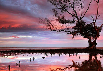 Scenic Australian Sunset, colors, sky, nature, water HD wallpaper