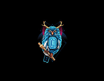 Blue Owl, dark, art HD wallpaper