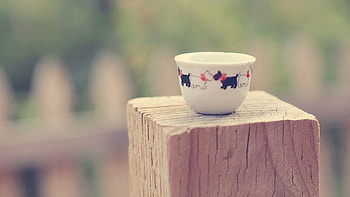 Dogs, Tablewares, Miscellanea, Miscellaneous, Cup, Stump, Saucer, Doggies HD wallpaper