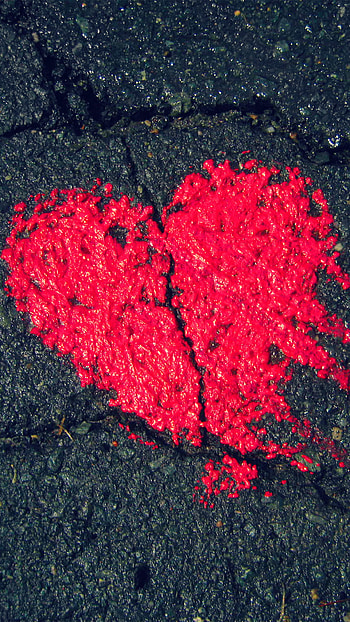 Love is hard smart for Valentines day HD phone wallpaper