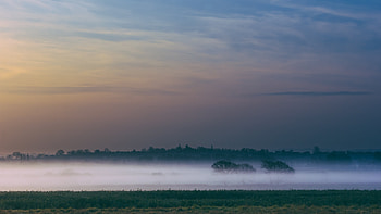 Nature, Trees, Sky, Dawn, Fog, Field HD wallpaper