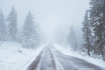 Winter, Nature, Trees, Snow, Road, Snowstorm HD wallpaper